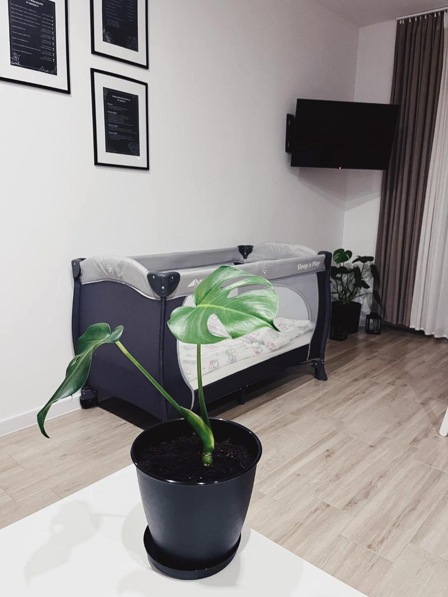 Carpe Diem Apartment Duszniki Zdroj Luaran gambar